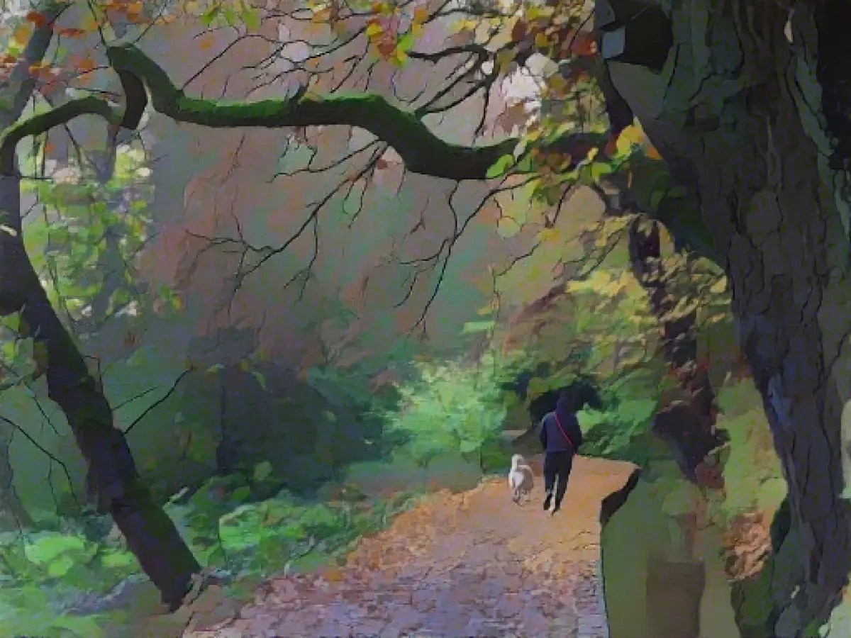 Clouds and rain expected in Hesse