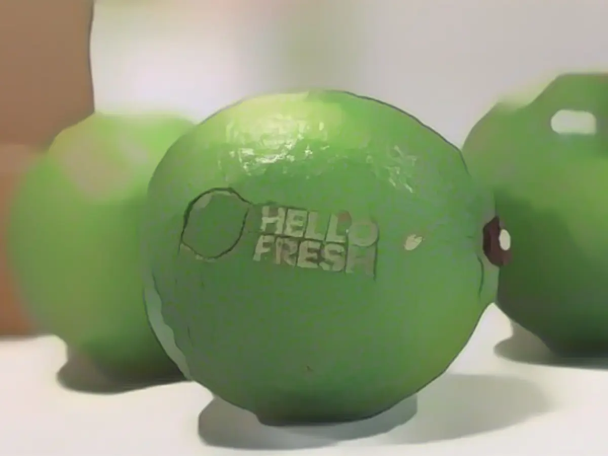 Investors lose their appetite with HelloFresh