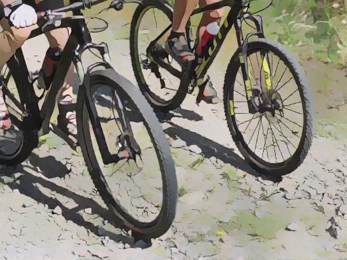 Thuringian Forest to become more attractive for mountain bikers