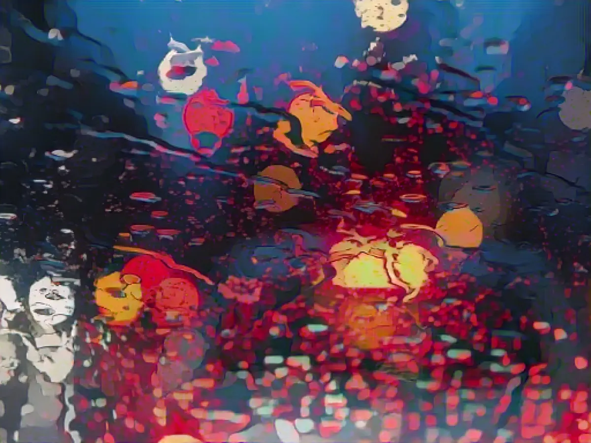 Rain and wind expected in Saxony