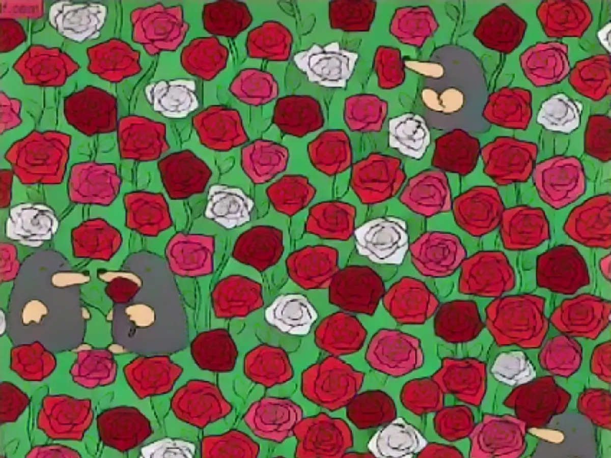 Can you find the three hearts in the rose bed?