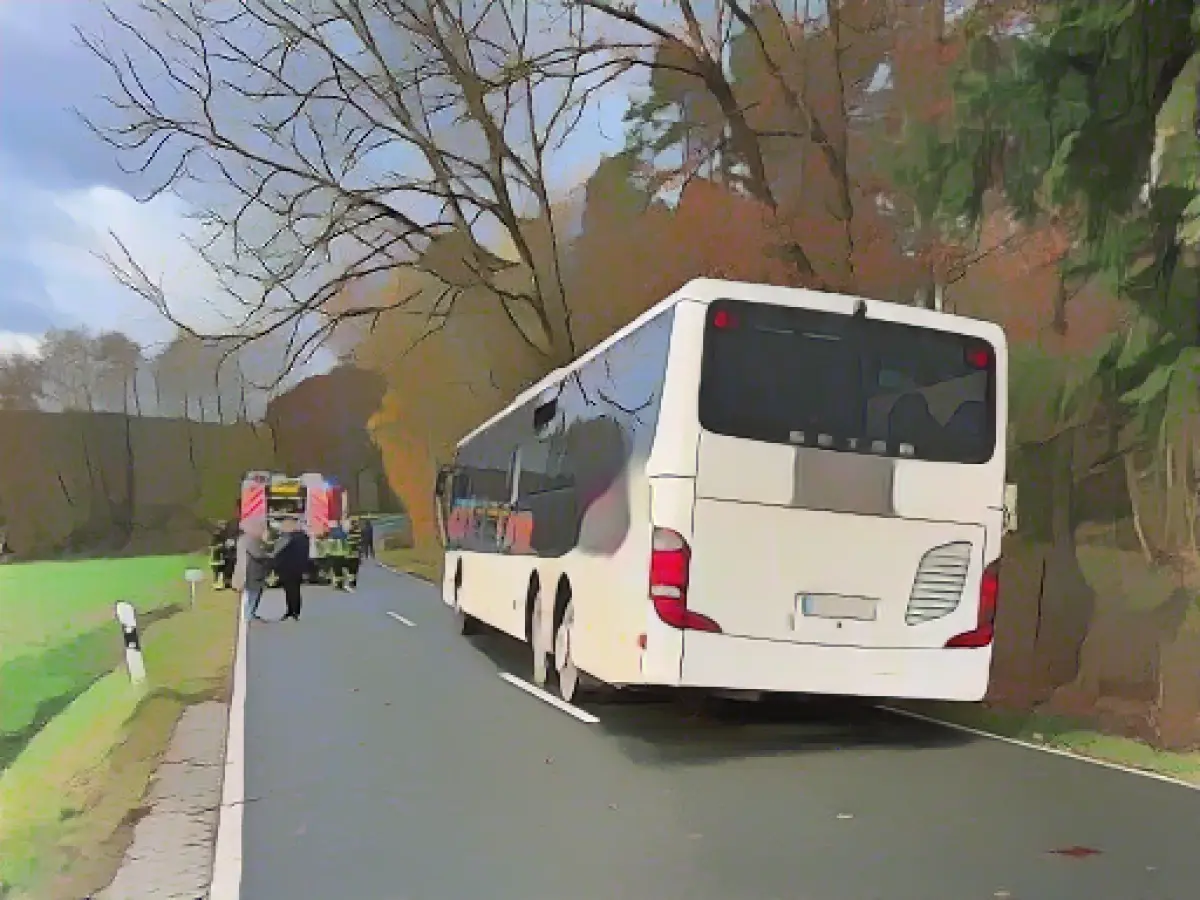 Eight schoolchildren injured in bus accident in Middle Franconia