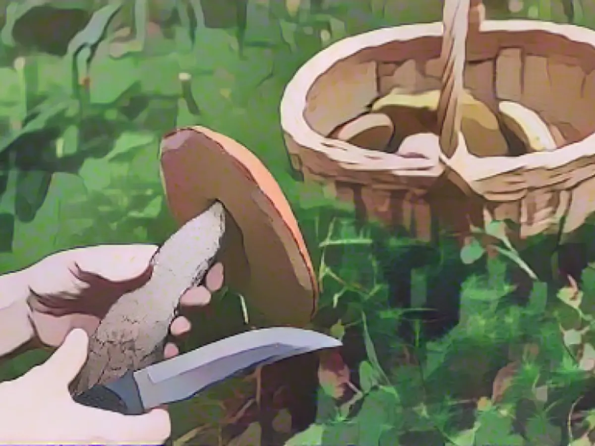 How many mushrooms can I pick?