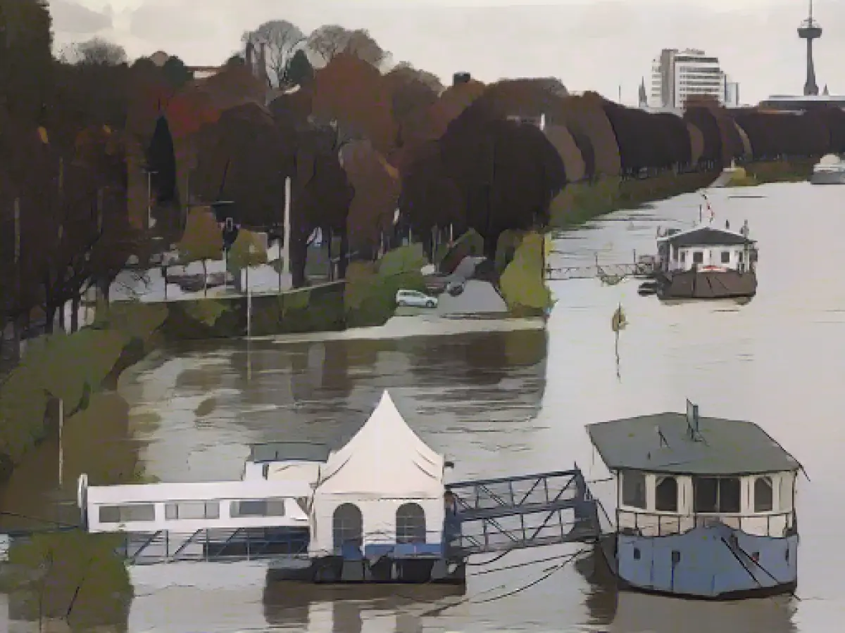 Rhine floods reach peak level in Cologne and Düsseldorf