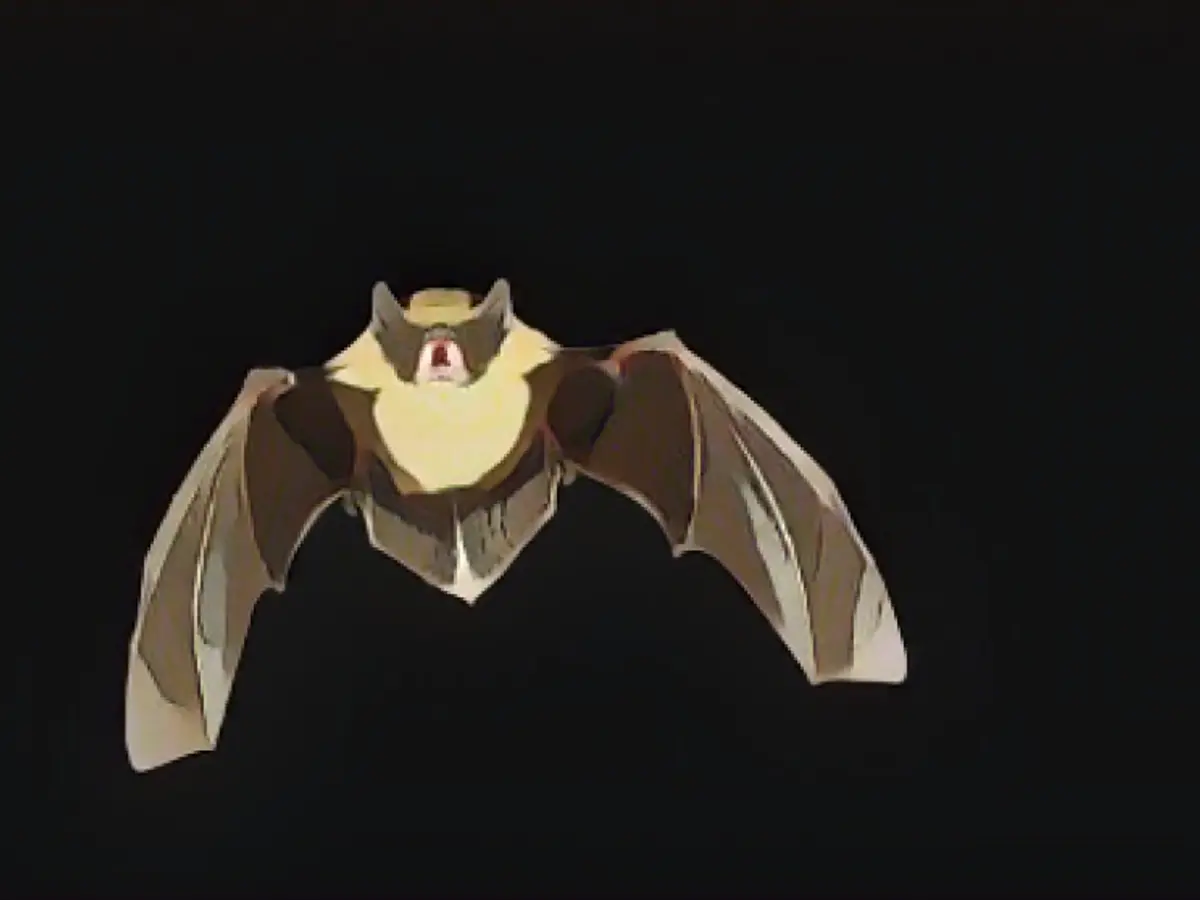 Bat species shows completely new sexual behavior