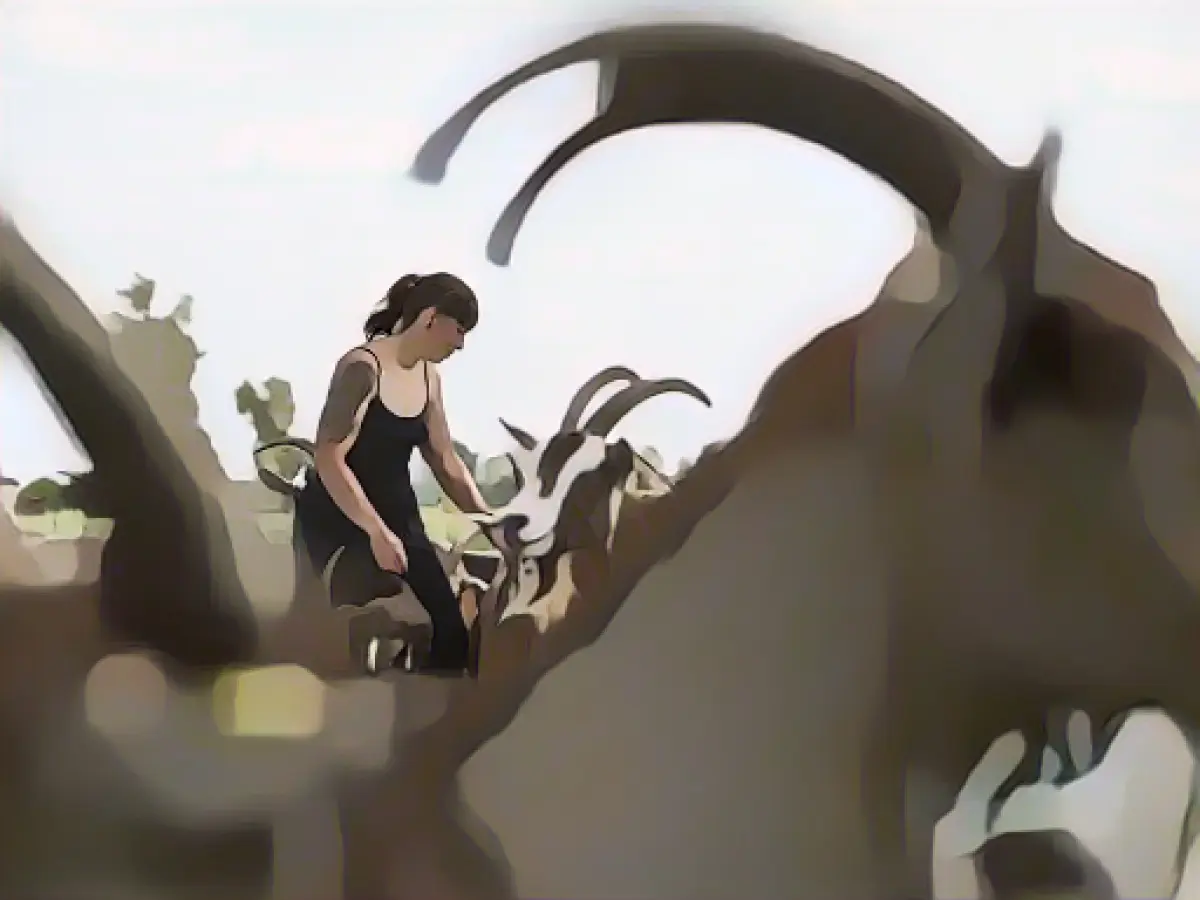 More trainees in agriculture - fewer in horticulture