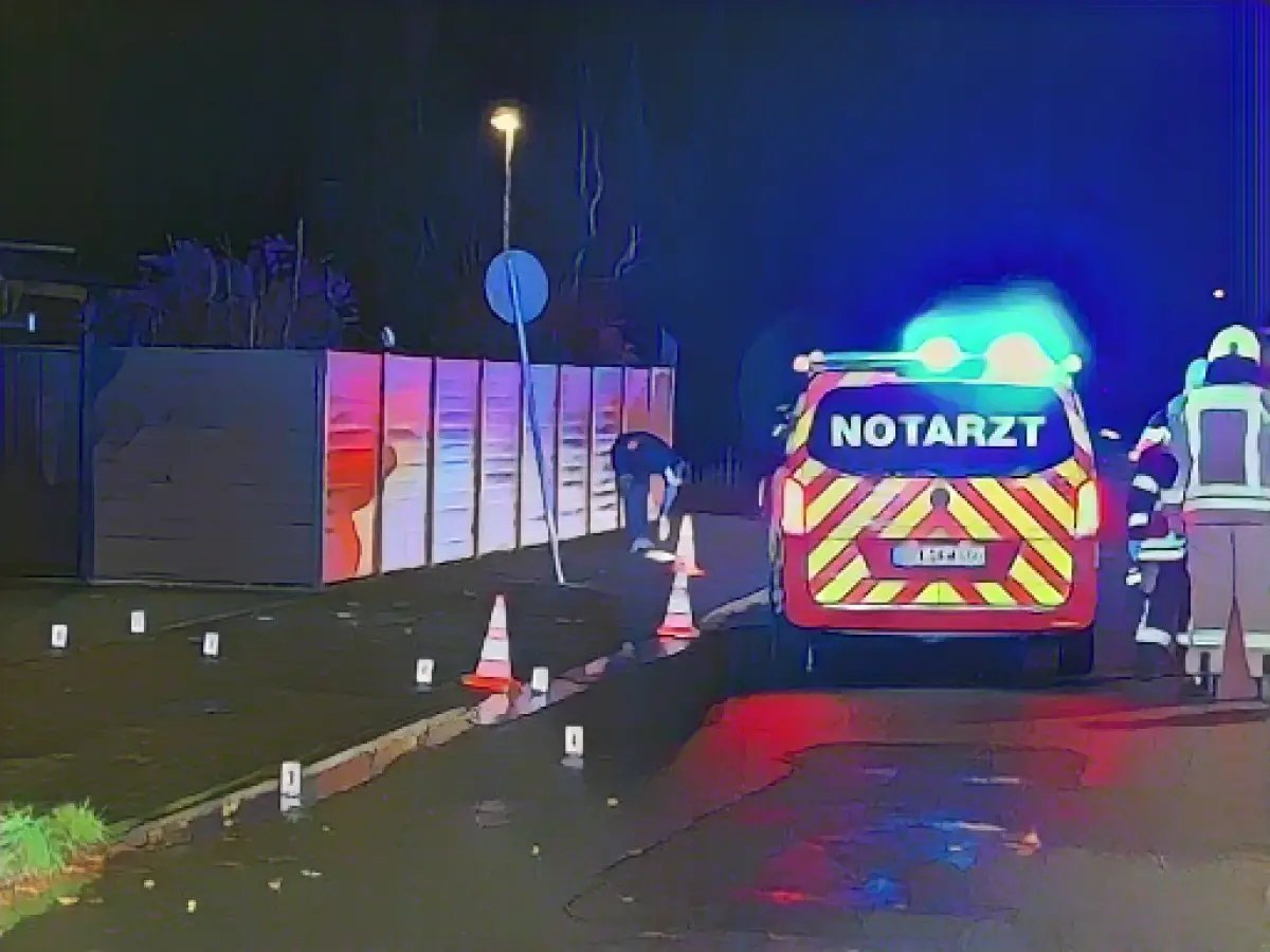 Information portal on fatal hit-and-run accident