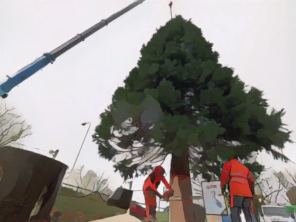 Rostock Christmas market almost ready to go: kick-off on Monday