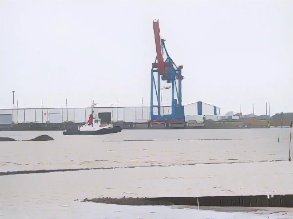 Analysis: Higher throughput expected at the seaport of Brake