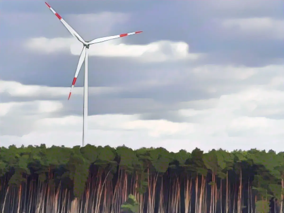 CDU: Thüringenforst should not operate wind turbines