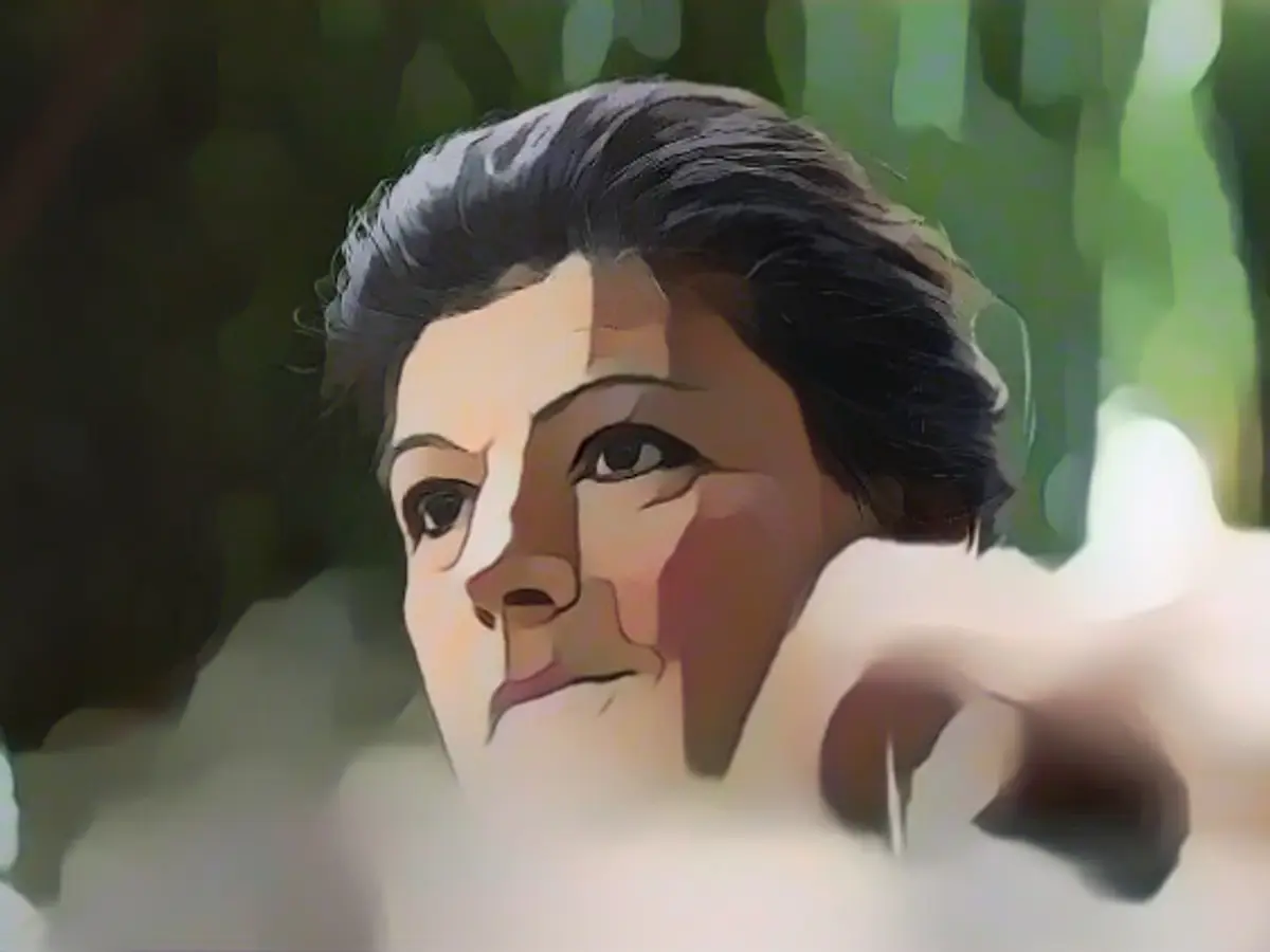 Left-wing parties experience large influx after Wagenknecht's departure