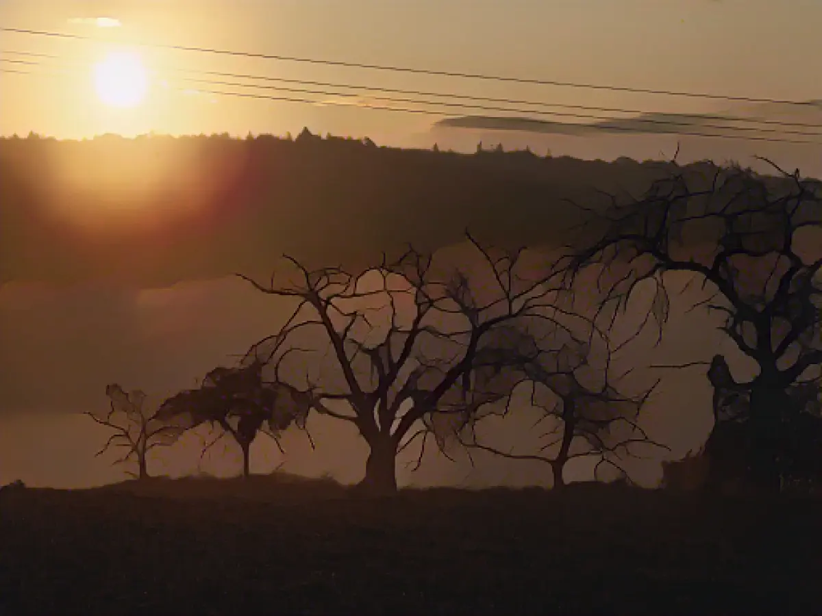 Cold front: Polar air in Rhineland-Palatinate and Saarland