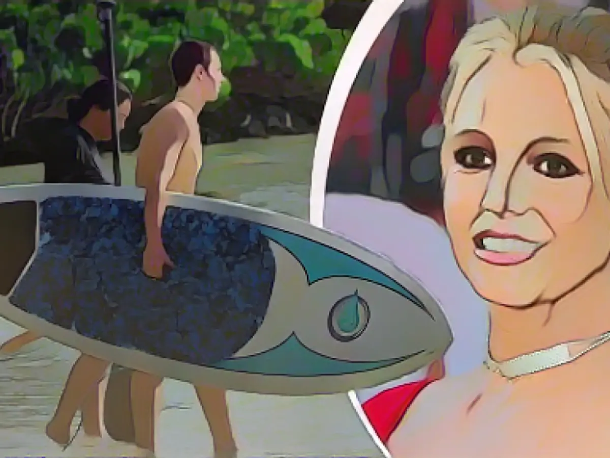 Britney's sons surf away from mom