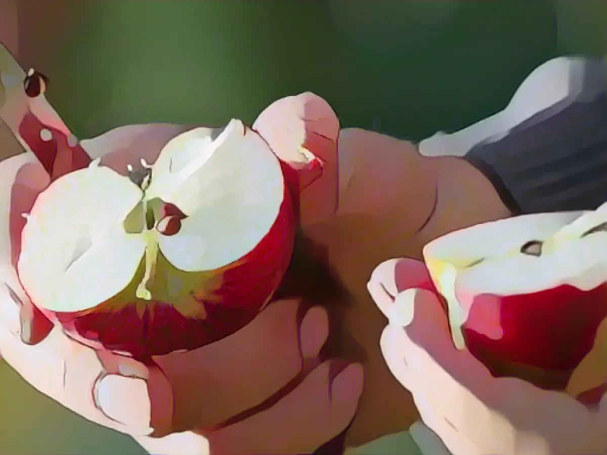 Apple variety thought lost is back