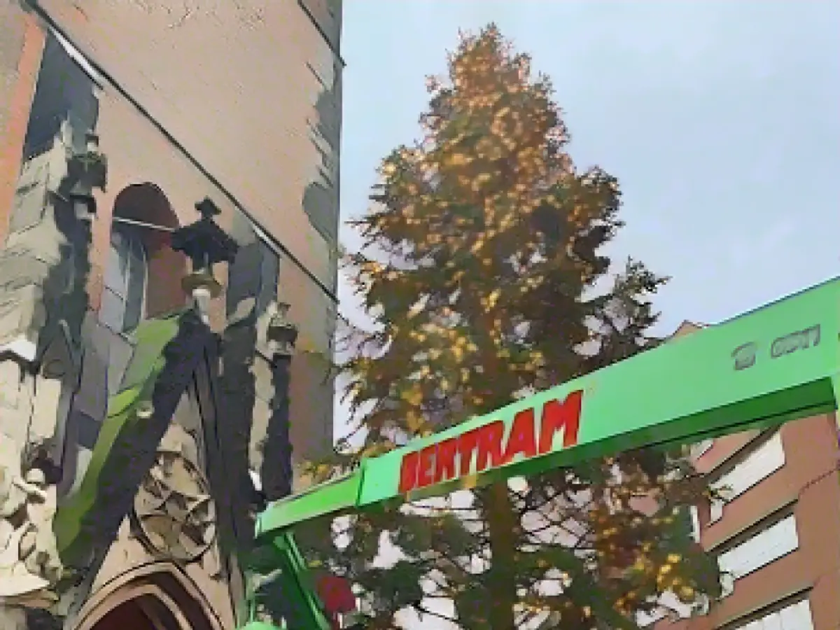 Pannen-Baum already has the lights on