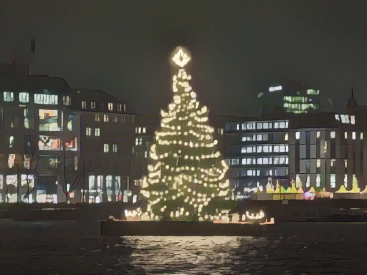 Alster fir tree on the Inner Alster heralds the Christmas season