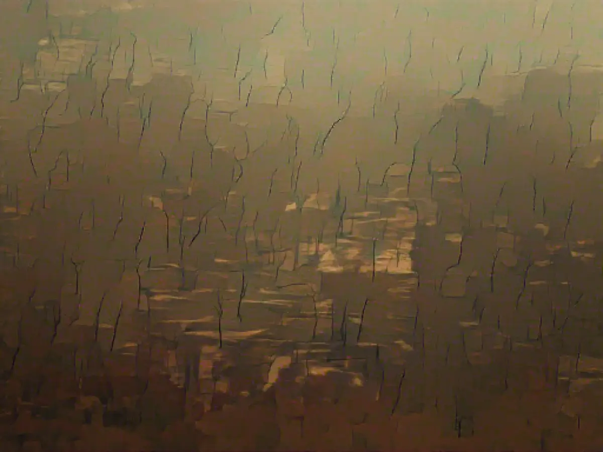 Numerous forest fires in Brazil's Pantanal wetlands