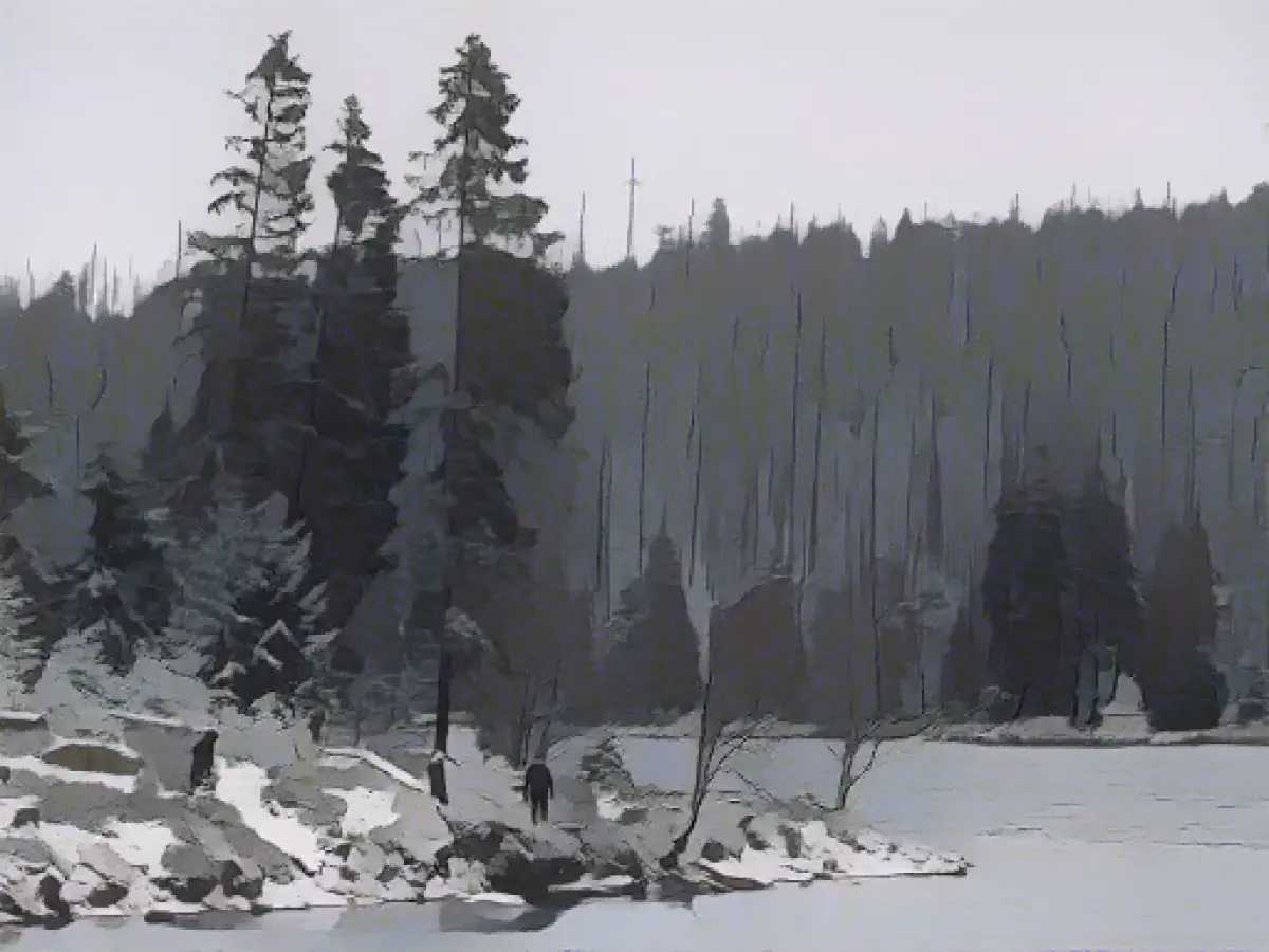 Winter weather in Germany with snow and cold