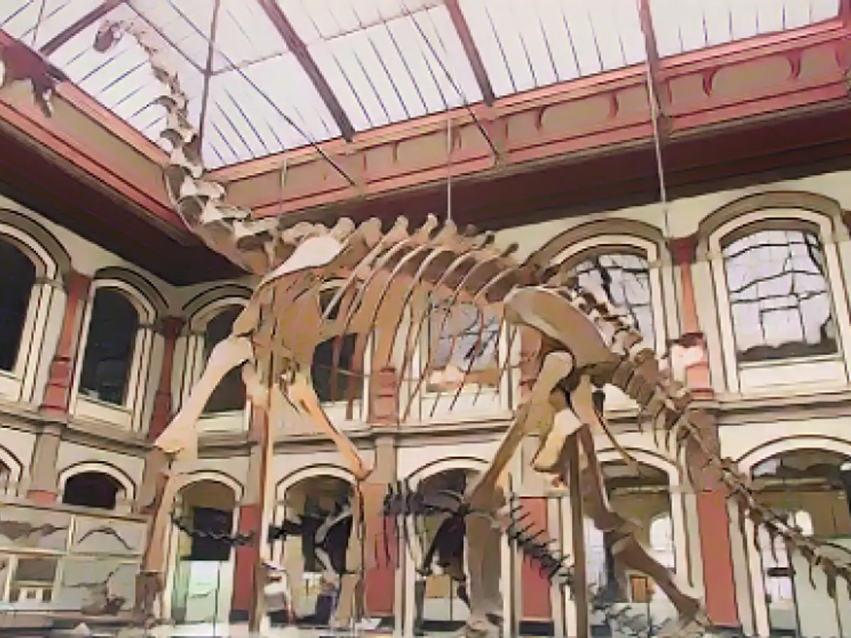 Cyber criminals blackmail natural history museum