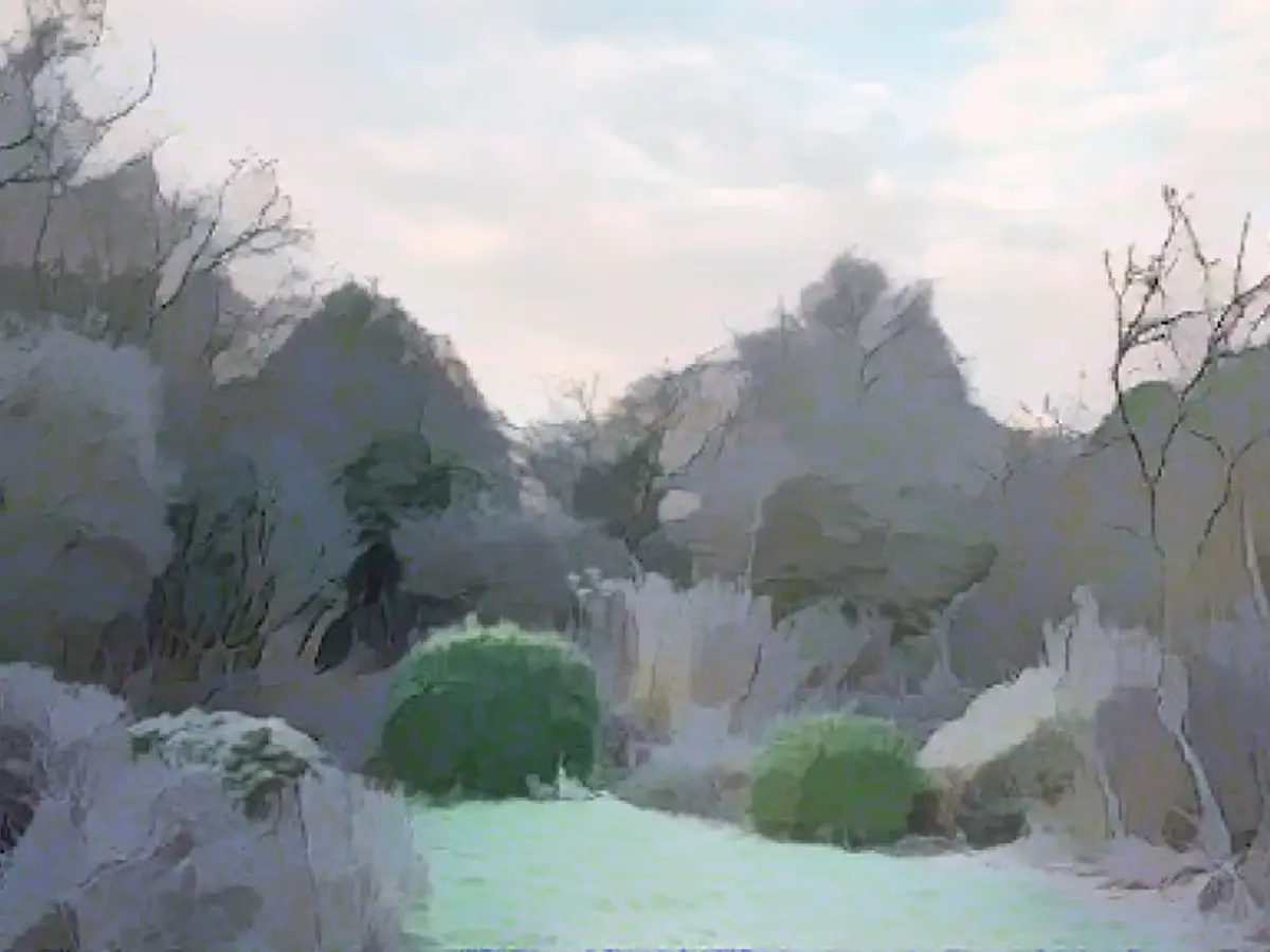 How to protect your plants from frost damage