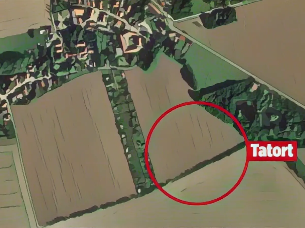 Suspect arrested after murder while walking his dog