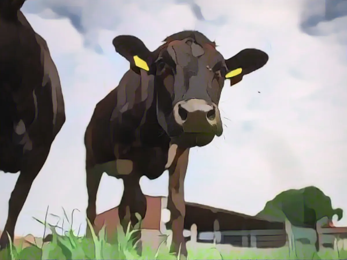 Ministry bans cattle transportation to 17 EU third countries