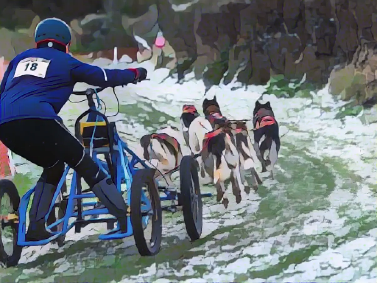Mud fight with sled dogs - German Championship