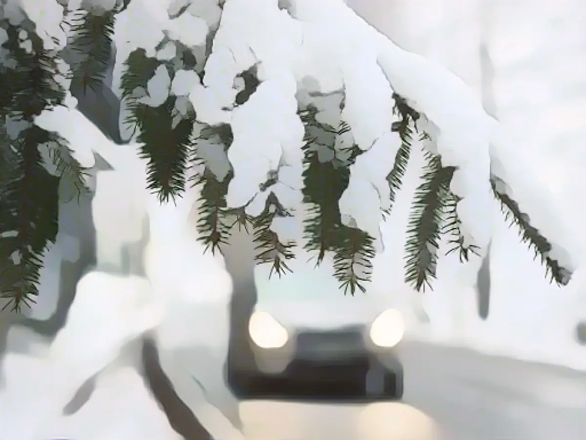 More snowfall in Thuringia: Cross-country ski trails prepared