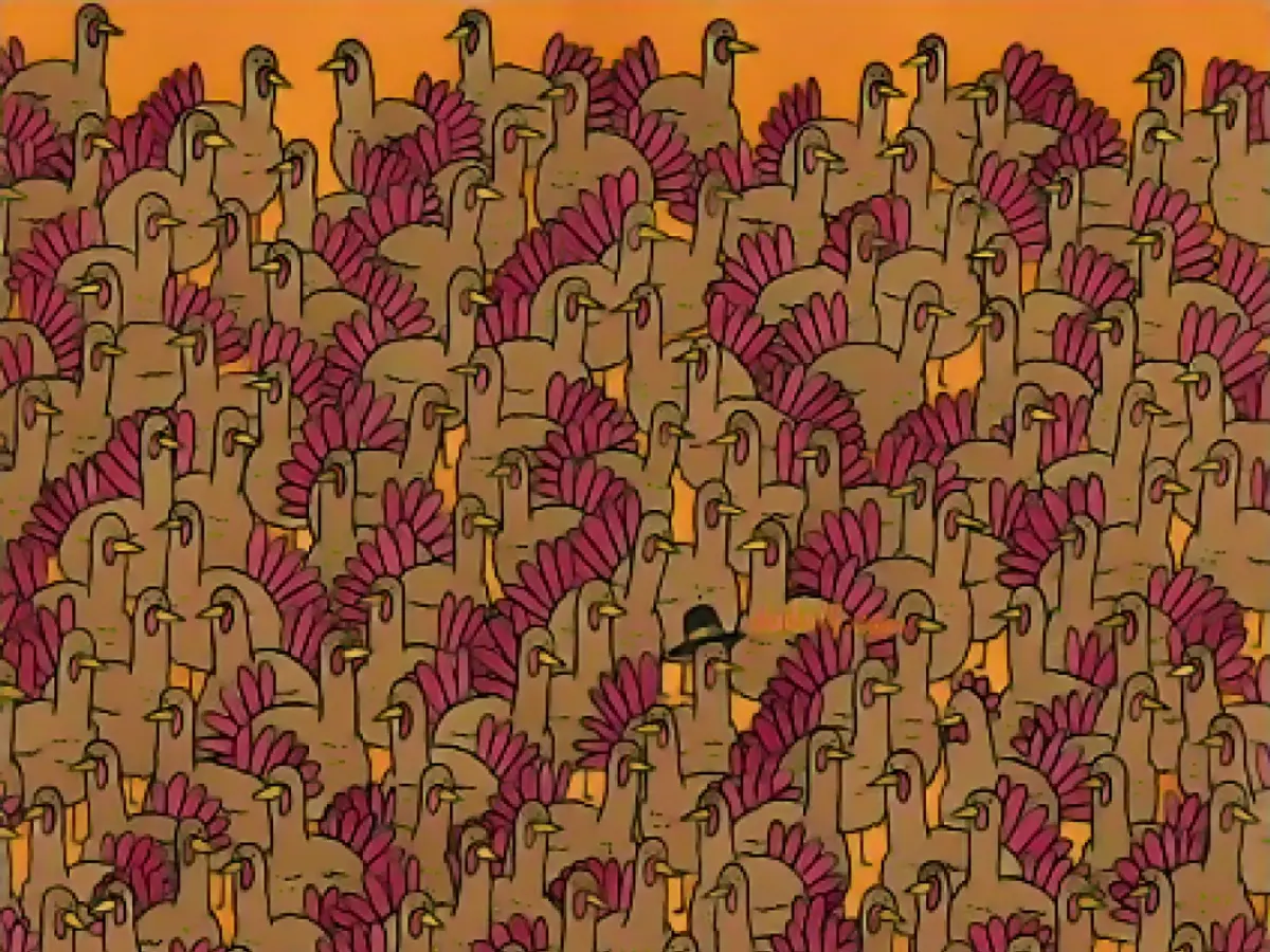 Can you find the three roosters among the turkeys?