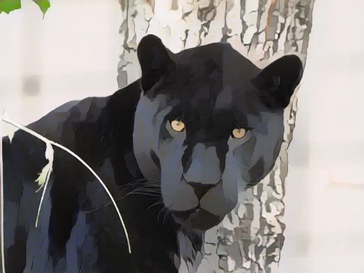 New arrival at Wilhelma: Jaguar to provide offspring