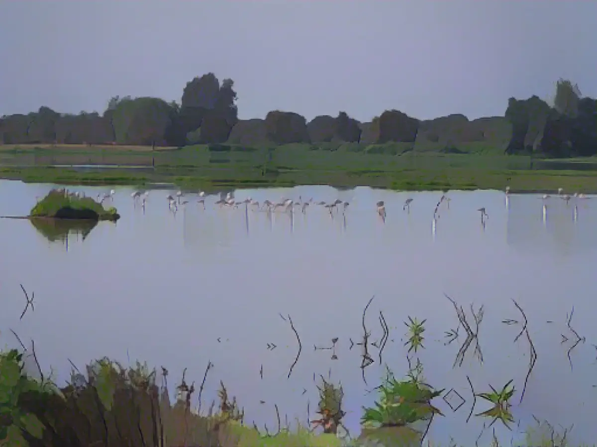 1.4 billion euros for Europe's largest wetland