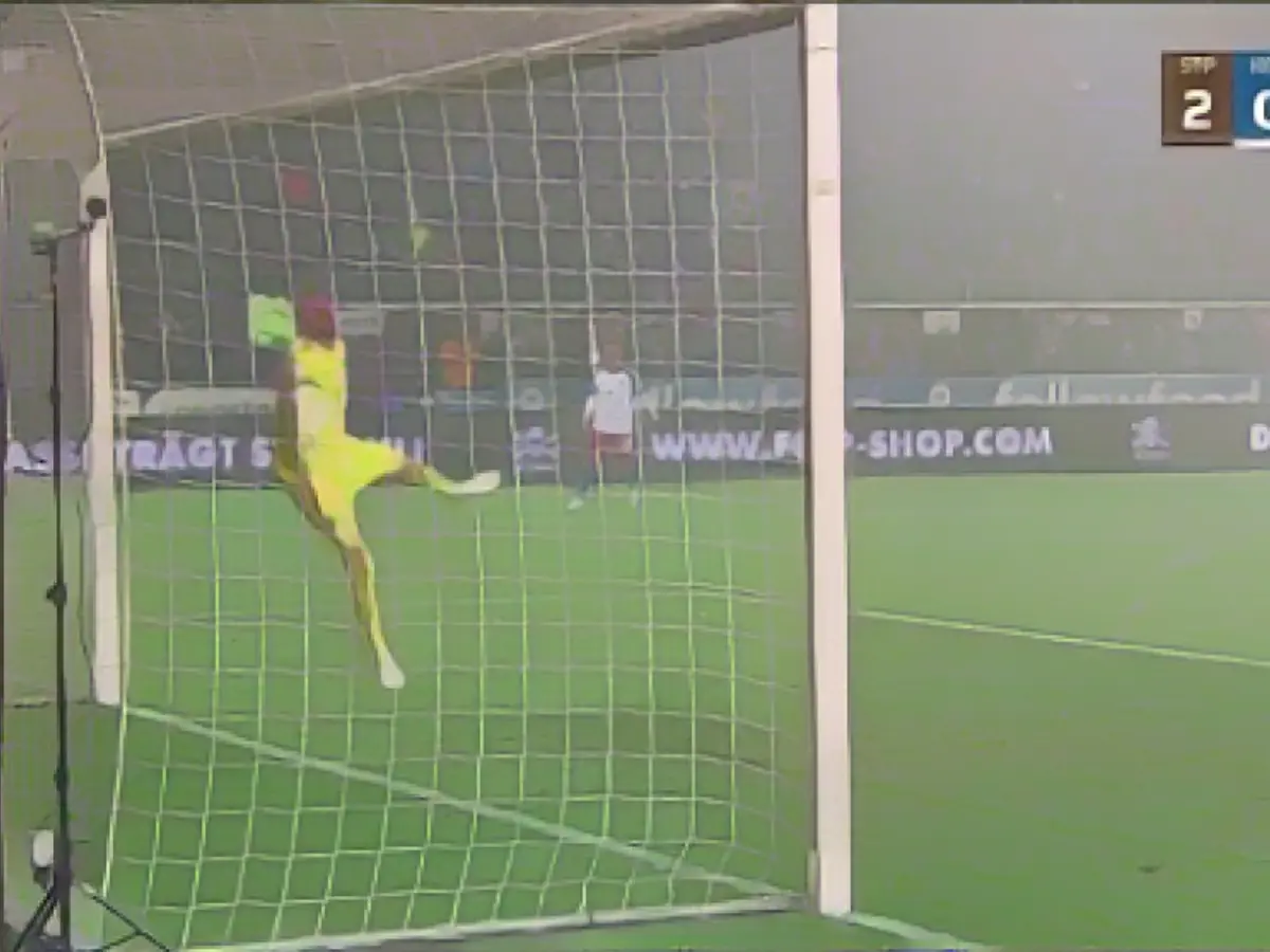 HSV scores own goal of the year!