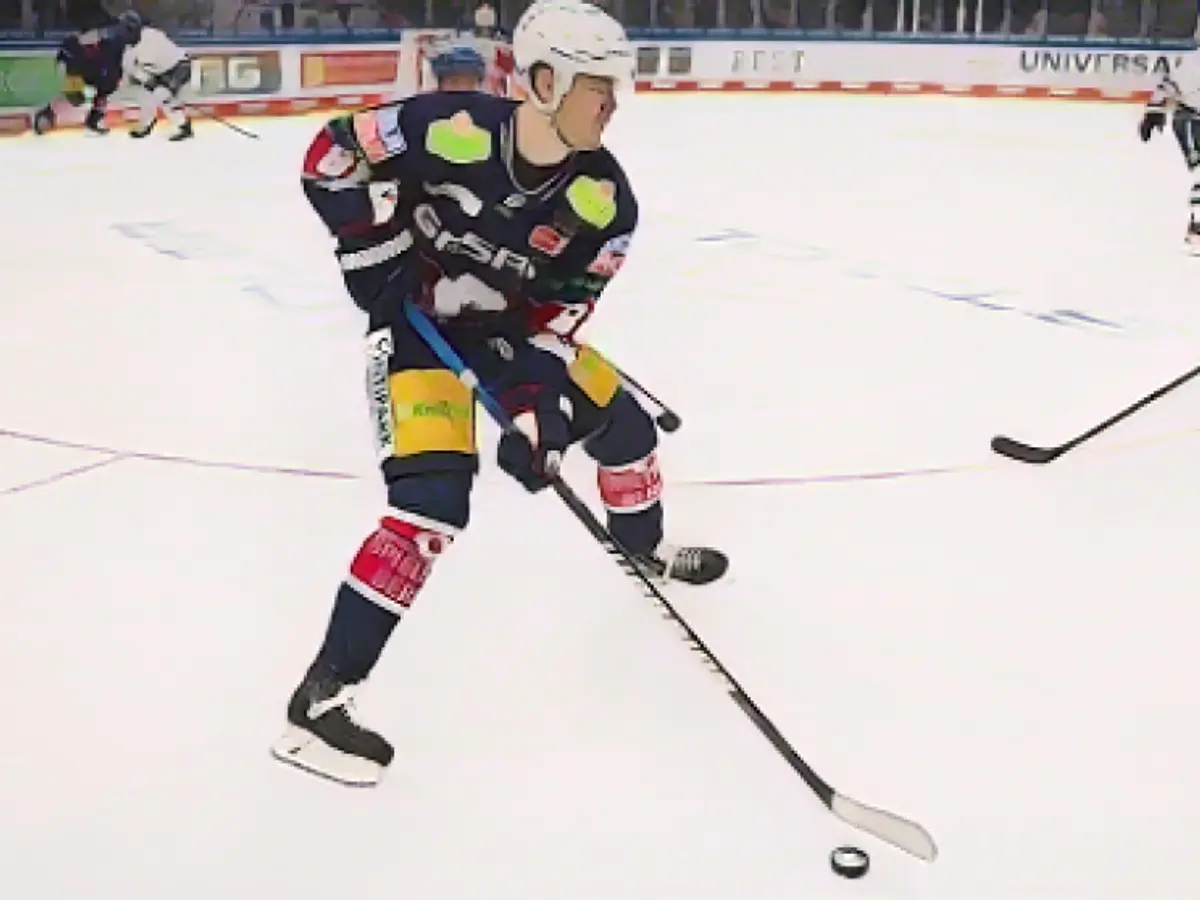 Polar bear talent to Mannheim