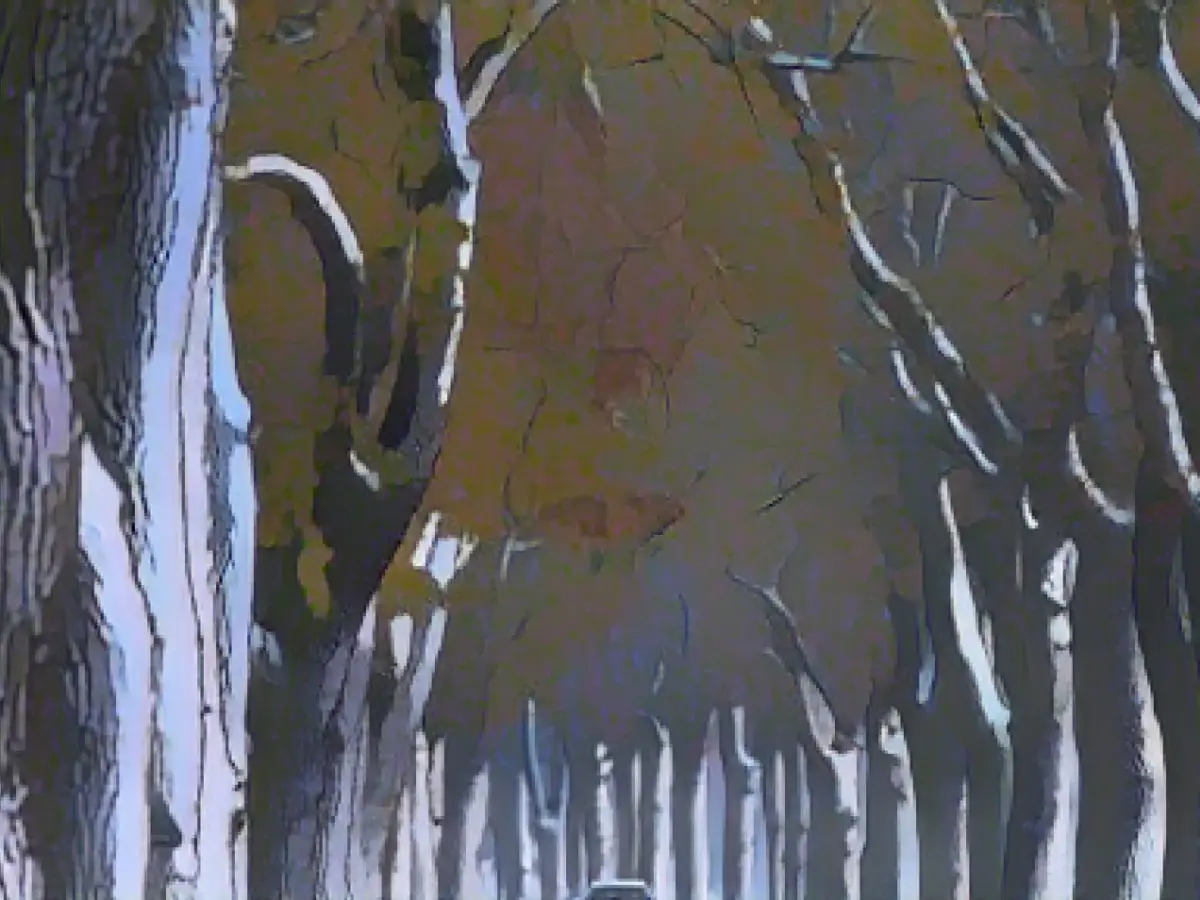 Frosty start to December in Berlin and Brandenburg