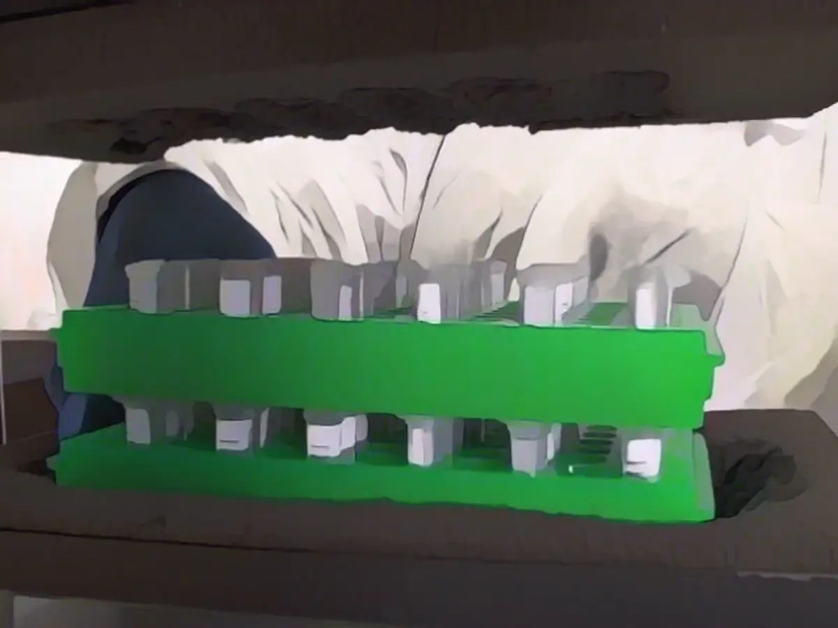 Biden should quickly reconsider Omicron travel ban, CEO says