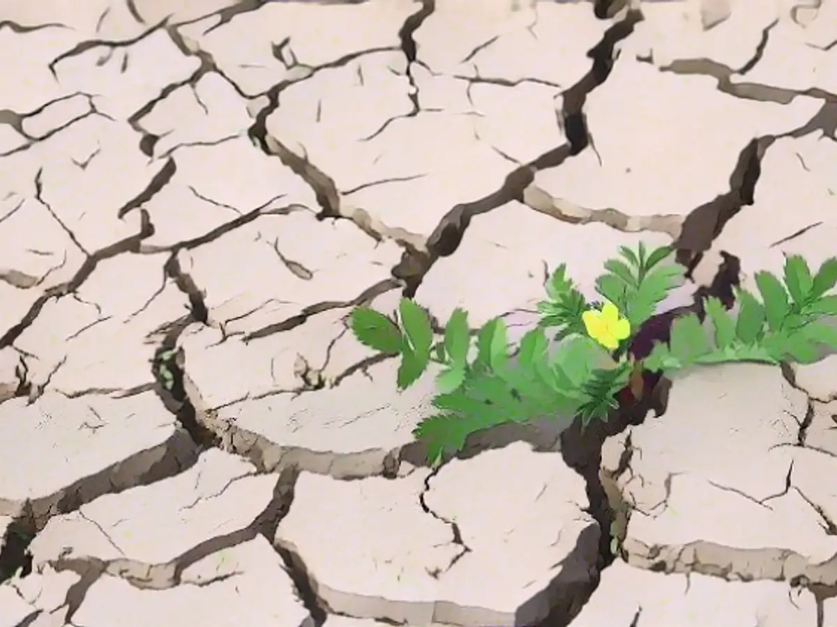 "All is not yet lost"