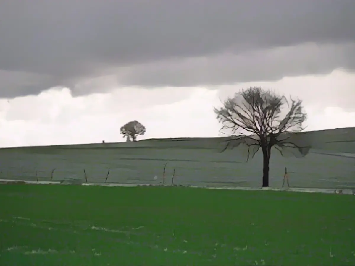 Wet fall helps the plants