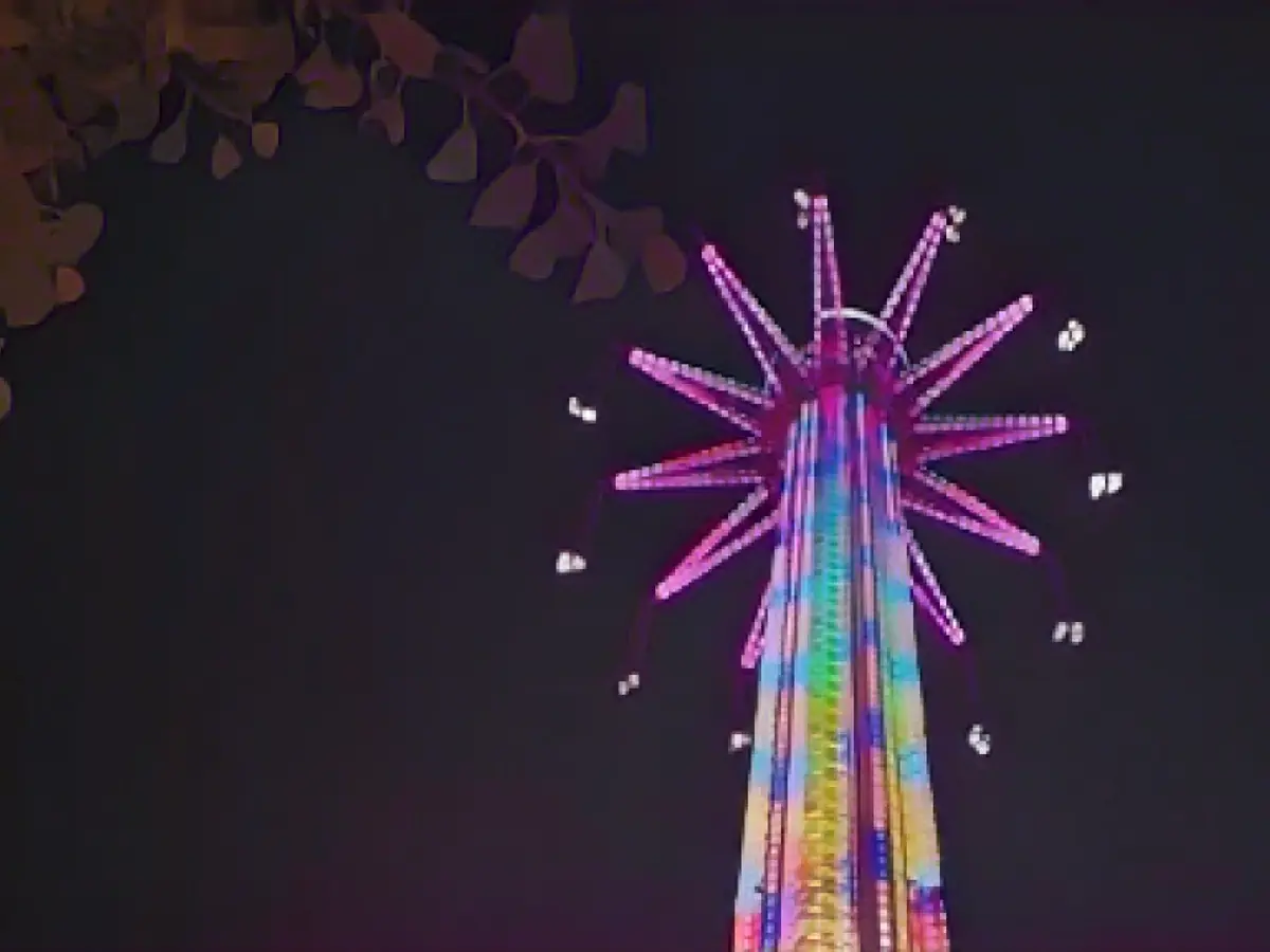 The world's tallest swing is now open in Dubai