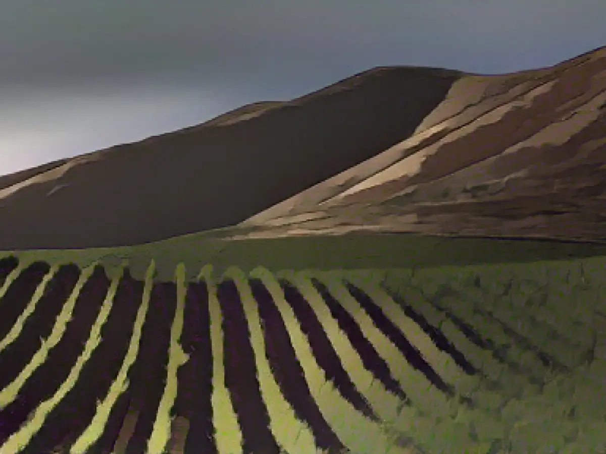 California town affected by epidemic will let paying tourists visit