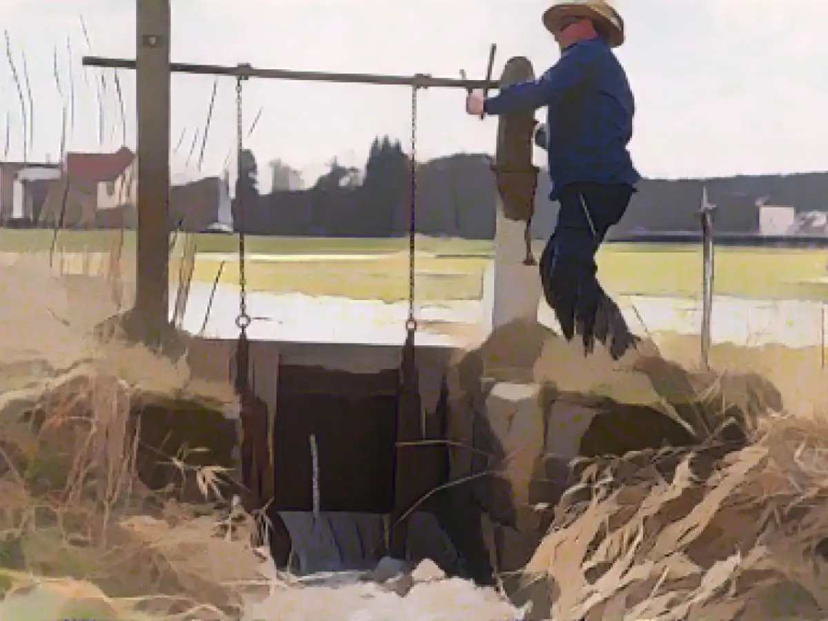 Water meadows to be included on Unesco list