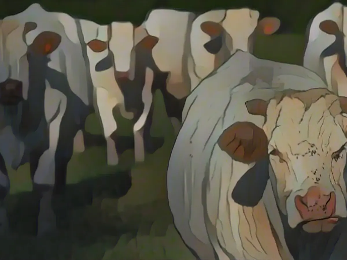 Methane is not given enough consideration as a climate killer