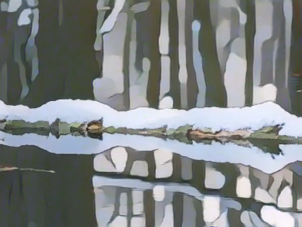 Thousands of visitors come to the start of Spreewaldweihnacht