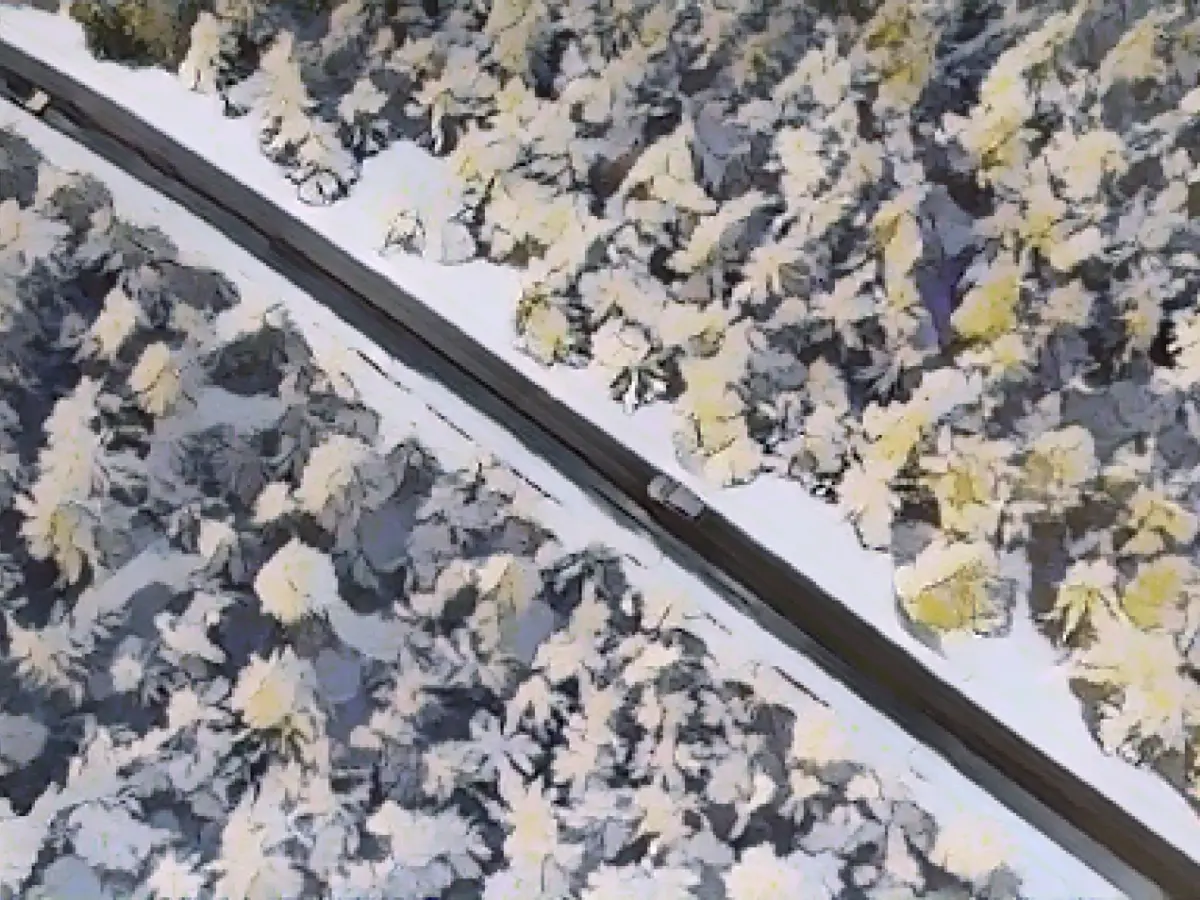 Cold winter weather in Saxony-Anhalt