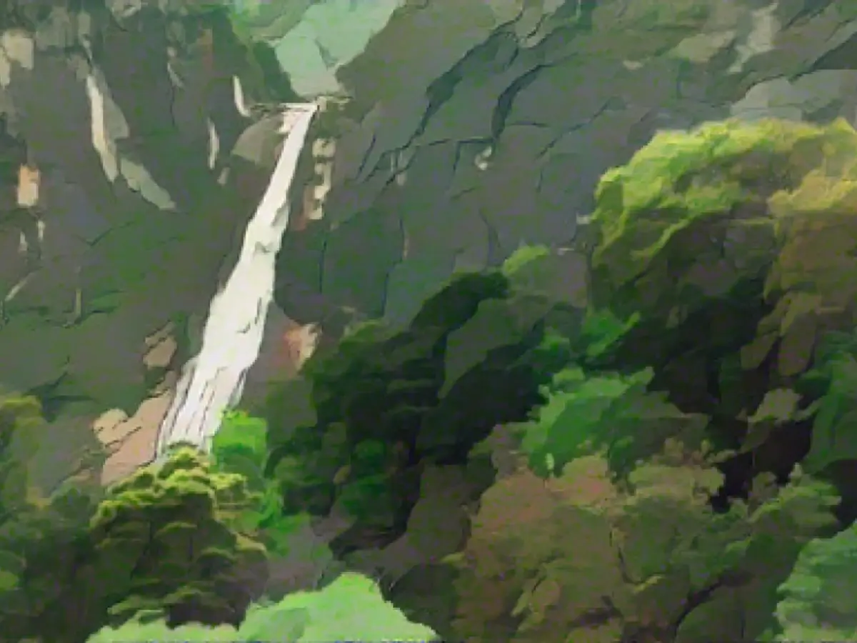 Berlin police help rescue missing persons from the jungle