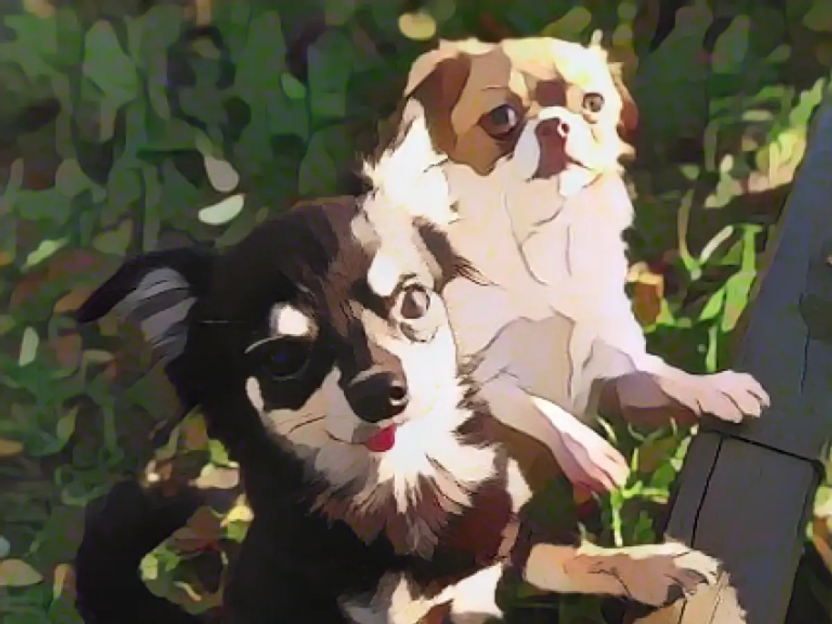 Who wants Vip and Vap?