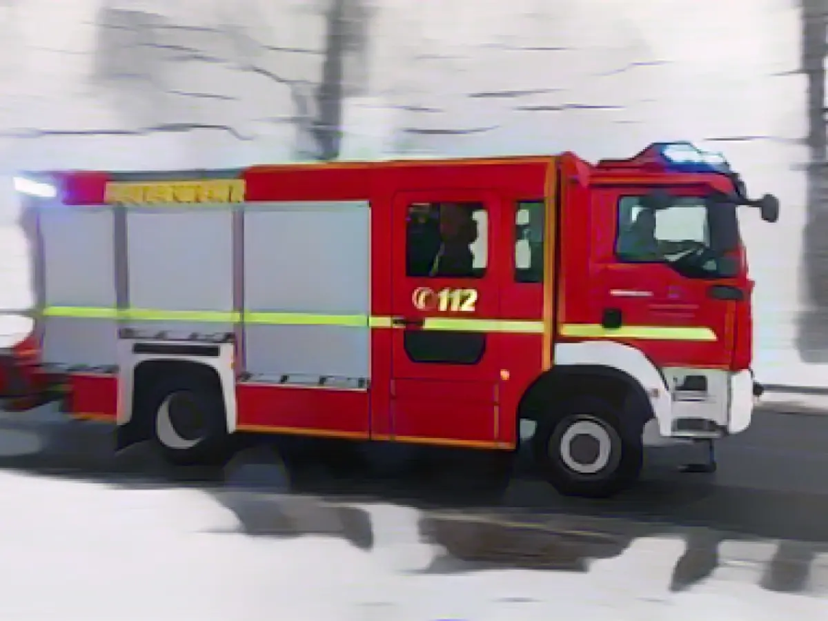 Fire department rescues two horses from pond