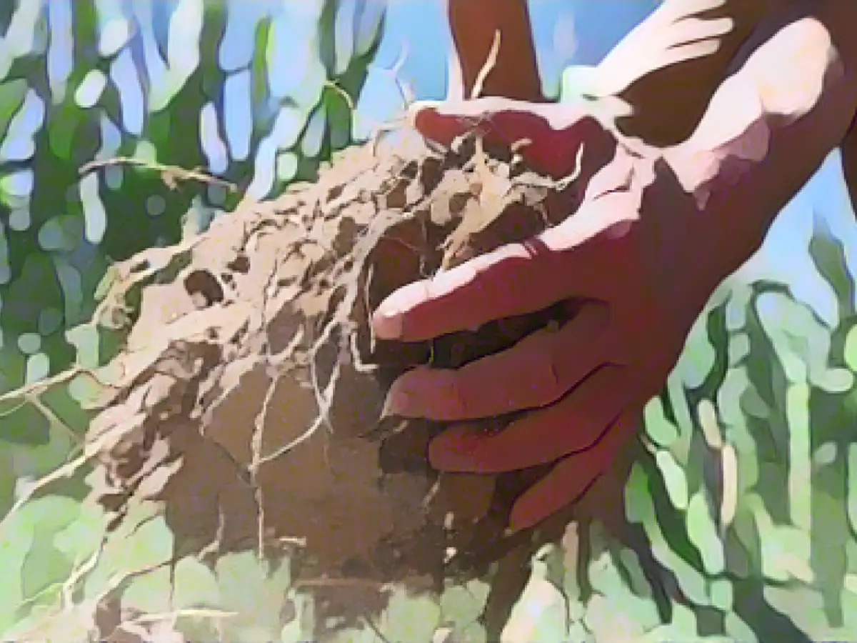 "Soil Day" - Left party calls for "farmland in farmers' hands"