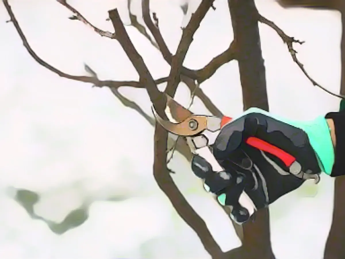 Gardening chores you should do now to prepare for spring