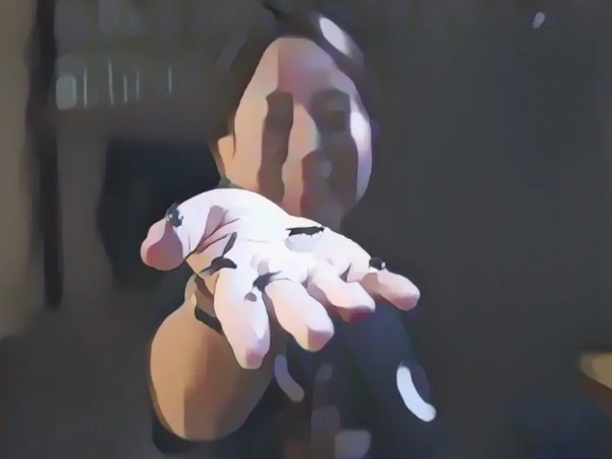 This Singapore startup uses insects to turn trash into treasure