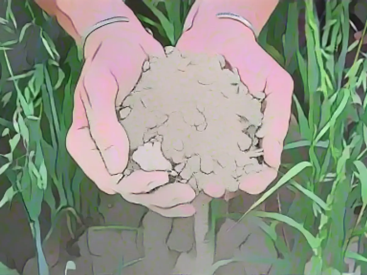 Report sees major impact of climate change